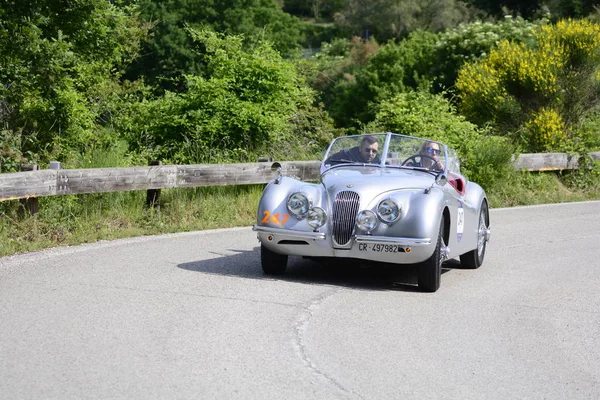 Pesaro Colle San Bartolo Italien Mai 2018 Porsche 356 15001955 — Stockfoto