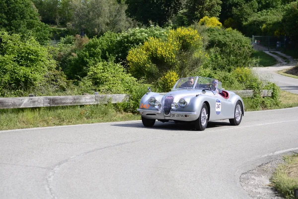 Pesaro Colle San Bartolo Italie Mai 2018 Porsche 356 15001955 — Photo