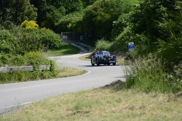 Pesaro Colle San Bartolo Itálie Květen 2018 Jaguar 120 Ots1954 — Stock fotografie