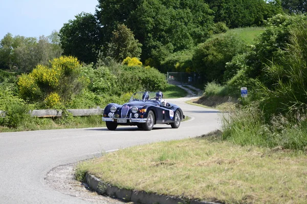 Pesaro Colle San Bartolo Italia Mayo 2018 Jaguar 140 Ots1954 — Foto de Stock