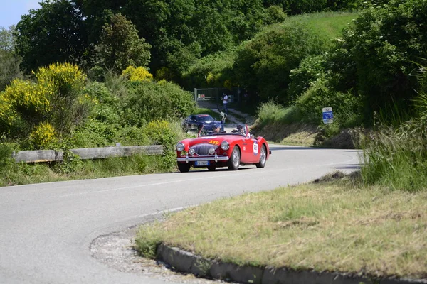 イタリア ペーザロ バルトロ 2018 オースティンを癒します 100 Bn11954 古いレースカー ラリー Mille — ストック写真