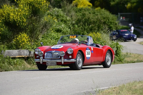 Pesaro Colle San Bartolo Italy May 2018 1956 Old Racing — Stock Photo, Image