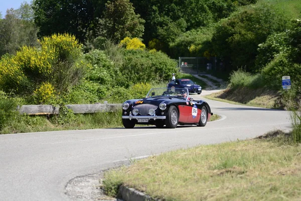 Pesaro Colle San Bartolo Italië Kan 2018 Austin Genezen 100 — Stockfoto