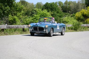 Pesaro Colle San Bartolo, İtalya - Mayıs 17-2018: Fiat 1100 Tv Trasformabile1955 üzerinde eski bir yarış araba ralli Mille Miglia 2018 ünlü İtalyan tarihi Formula (1927-1957)