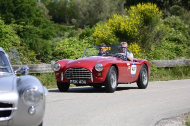 Pesaro Colle San Bartolo, İtalya - Mayıs 17-2018: A.C. Ace 1955 eski yarış otomobil Rallisi'nde Mille Miglia 2018 ünlü İtalyan tarihi Formula (1927-1957)