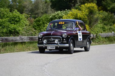 Pesaro Colle San Bartolo, İtalya - Mayıs 17-2018: Fiat 1100/103 Tv1957 eski yarış otomobil Rallisi'nde Mille Miglia 2018 ünlü İtalyan tarihi Formula (1927-1957)
