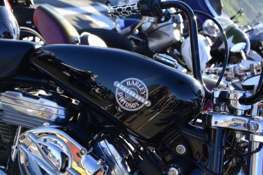 Pesaro Porto, İtalya - Haziran 13-2018: Harley Davidson bisikletçileri Beach Fest Pesaro