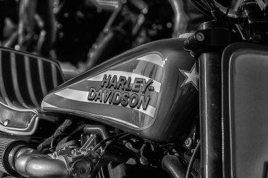 Pesaro Porto, İtalya - Haziran 13-2018: Harley Davidson bisikletçileri Beach Fest Pesaro