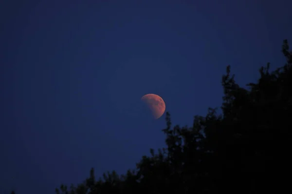 Fano Itálie Léto 2018 Červený Měsíc Zatmění Měsíce — Stock fotografie