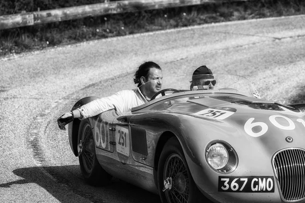 Pesaro Colle San Bartolo Italy May 2018 Jaguar Type 1952 — Stock Photo, Image