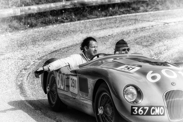 Pesaro Colle San Bartolo Italien Maj 2018 Jaguar Typen 1952 — Stockfoto