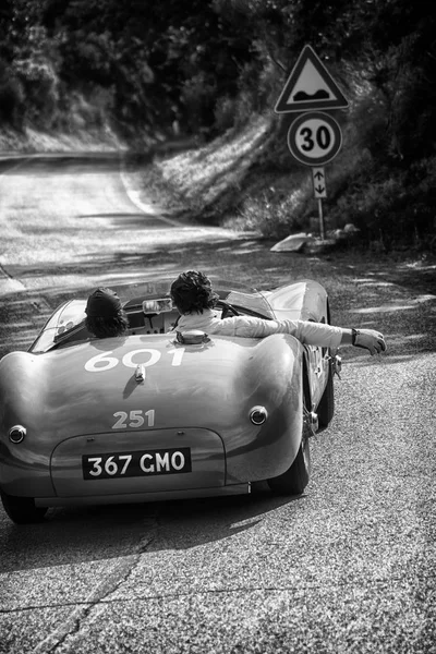 Pesaro Colle San Bartolo Italy May 2018 Jaguar Type 1952 — Stock Photo, Image