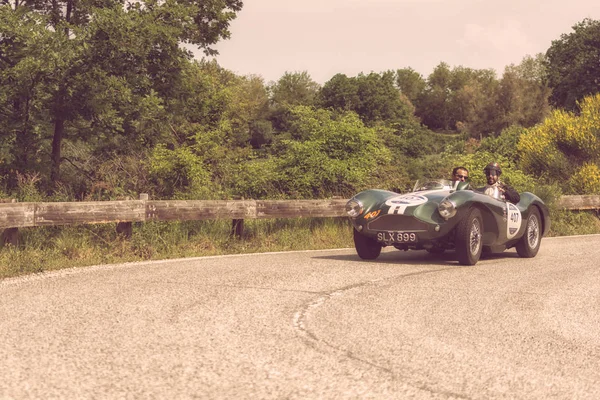 Pesaro Colle San Bartolo Italien Mai 2018 Aston Martin 1955 — Stockfoto