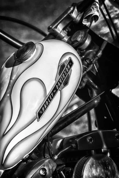 Pesaro Porto Italien Juni 2018 Harley Davidson Beim Biker Beach — Stockfoto