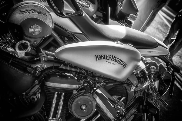 Pesaro Porto Italia Junio 2018 Harley Davidson Festivo Playa Bicicletas — Foto de Stock