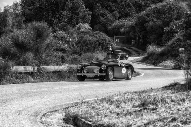 Pesaro Colle San Bartolo, İtalya - Mayıs 17-2018: Austin Healey 100 M Bn2 1955 eski yarış arabası Mille Miglia ralli 2018 ünlü İtalyan tarihi Formula (1927-1957)