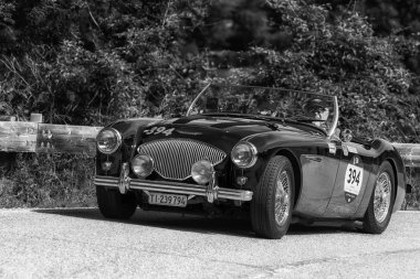 Pesaro Colle San Bartolo, İtalya - Mayıs 17-2018: Austin Healey 100 M Bn2 1955 eski yarış arabası Mille Miglia ralli 2018 ünlü İtalyan tarihi Formula (1927-1957)