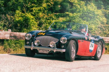 Pesaro Colle San Bartolo, İtalya - Mayıs 17-2018: Austin Healey 100 M Bn2 1955 eski yarış arabası Mille Miglia ralli 2018 ünlü İtalyan tarihi Formula (1927-1957)