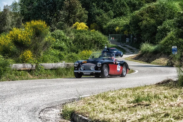 Pesaro Colle San Bartolo Italy May 2018 Austin Healey 100 — Stock Photo, Image