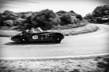 Pesaro Colle San Bartolo, İtalya - Mayıs 17-2018: Jaguar Xk 120 Dhc 1953 eski yarış arabası Mille Miglia ralli 2018 ünlü İtalyan tarihi Formula (1927-1957)