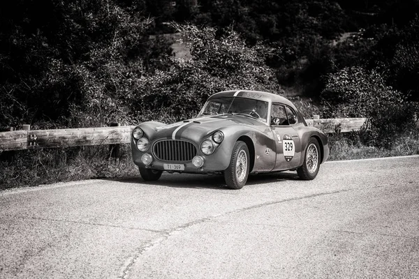 Pesaro Colle San Bartolo Italy 2018 Fiat 1954 Старом Гоночном — стоковое фото