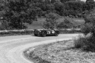 Pesaro Colle San Bartolo, İtalya - Mayıs 17-2018: A.C. Ace 1955 tarihinde eski bir yarış araba ralli Mille Miglia 2018 ünlü İtalyan tarihi Formula (1927-1957)