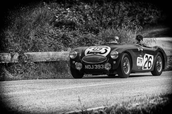 Pesaro Colle San Bartolo Itália Maio 2018 Austin Healey 100 — Fotografia de Stock