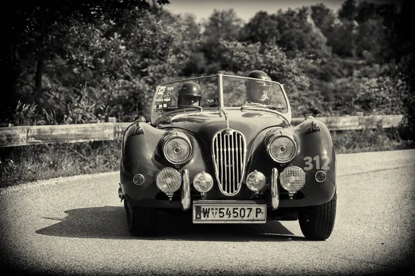 Pesaro Colle San Bartolo Italy 2018 Jaguar 140 Ots 1954 — стоковое фото