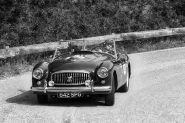 Pesaro Colle San Bartolo, İtalya - Mayıs 17-2018: Nash Healey spor 3850 cm3 1951 tarihinde eski bir yarış araba ralli Mille Miglia 2018 ünlü İtalyan tarihi Formula (1927-1957)