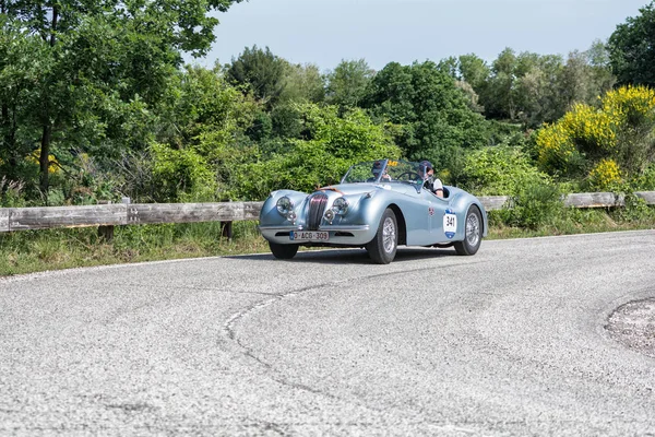 Pesaro Colle San Bartolo Italy May 2018 Jaguar 120 Ots — Stock Photo, Image