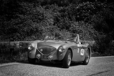 PESARO SAN BARTOLO, İtalya - 17 Mayıs - 2018: AUSTIN HEALEY 100 / 4 BN2 1956 Mille Miglia 2018 rallisindeki eski bir yarış arabası üzerinde ünlü İtalyan tarihi yarışı (1927-1957)) 