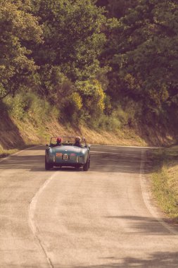 Pesaro Colle San Bartolo, İtalya - Mayıs 17-2018: eski bir yarış araba ralli Mille Miglia 2018 ünlü İtalyan tarihi Formula (1927-1957 yılında A.C. Ace 1954)