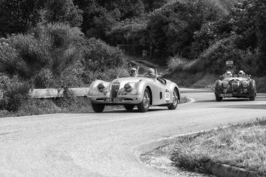 Pesaro Colle San Bartolo , İtalya - 17 Mayıs - 2018 : Jaguar Xk 120 Ots 1951 ralli Mille Miglia eski bir yarış otomobili 2018 ünlü İtalyan tarihi yarış (1927-1957) 