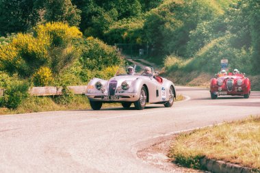 Pesaro Colle San Bartolo , İtalya - 17 Mayıs - 2018 : Jaguar Xk 120 Ots 1951 ralli Mille Miglia eski bir yarış otomobili 2018 ünlü İtalyan tarihi yarış (1927-1957) 