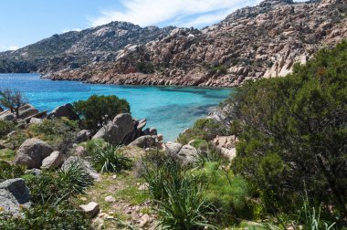 Caprera yaz İtalya adasında güzel Cala Coticcio 2019