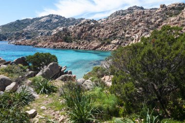 Caprera yaz İtalya adasında güzel Cala Coticcio 2019