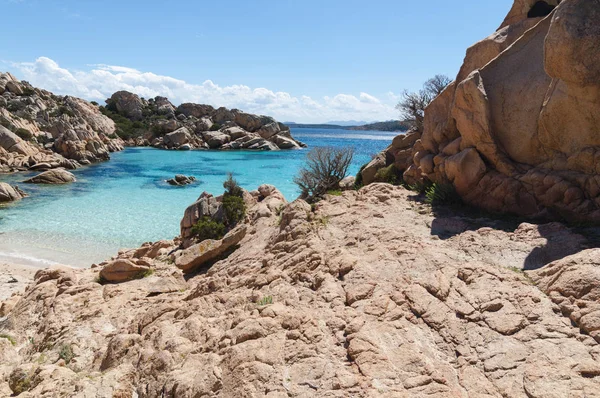Hermosa Cala Coticcio Isla Italiana Caprera Verano 2019 —  Fotos de Stock
