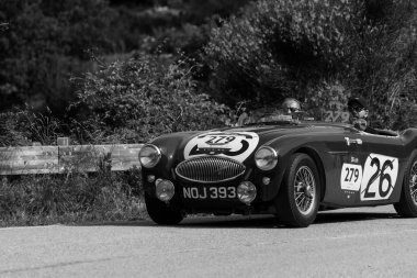 Pesaro Colle San Bartolo, İtalya - Mayıs 17-2018: Austin Healey 100 S 1953 tarihinde eski bir yarış araba ralli Mille Miglia 2018 ünlü İtalyan tarihi Formula (1927-1957