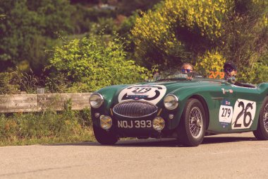 Pesaro Colle San Bartolo, İtalya - Mayıs 17-2018: Austin Healey 100 S 1953 tarihinde eski bir yarış araba ralli Mille Miglia 2018 ünlü İtalyan tarihi Formula (1927-1957
