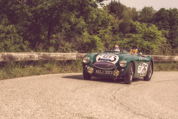 Pesaro Colle San Bartolo Italien Mai 2018 Austin Healey 100 — Stockfoto