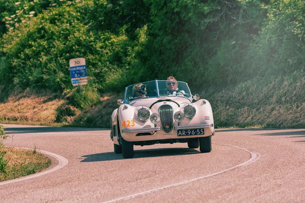 Jaguar 120 Ots 1954 Een Oude Racewagen Rally Mille Miglia — Stockfoto