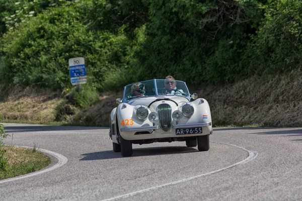 Jaguar 120 Ots 1954 Old Racing Car Rally Mille Miglia — Stock Photo, Image