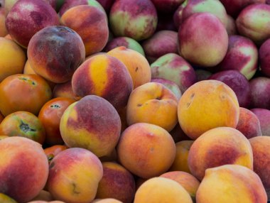 incir şeftali. Saturn şeftali. düz şeftali hasat. birçok şeftali. Çiftçi pazarında taze meyve: şeftali. incir şeftali arka plan. Close