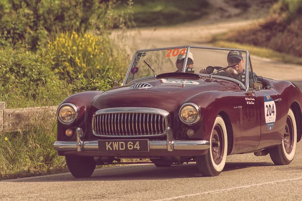 Pesaro Colle San Bartolo Itália Maio 2018 Nash Healey Sports — Fotografia de Stock