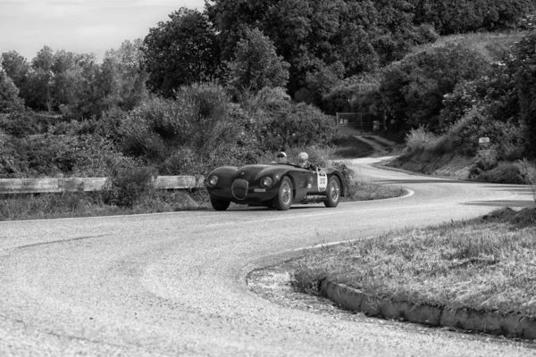 Pesaro Colle San Bartolo Italy 2018 Jaguar Type 1952 Старом — стоковое фото