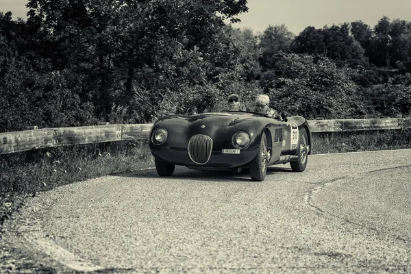 Пезаро Колле Сан Брат Італії Може 2018 Роки 1952 Jaguar — стокове фото