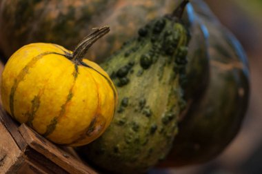 Bologna / İtalya - 24 Eylül 2019: iç tasarım Fico Eataly World. Fico, dünyanın en büyük lerinden biri olan tarım salağını ve gastronomiyi adamıştır.