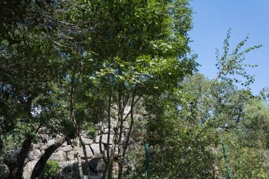 Nuraghe majori sardunya tempio pausania sumemr 2019