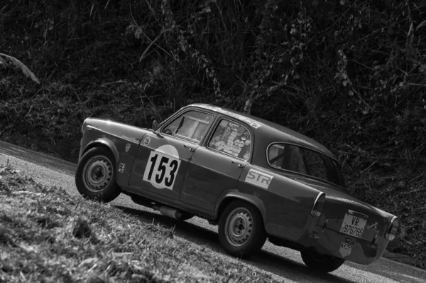 Pesaro Colle San Bartolo Italy Ott 2019 Alfa Romeo Gialaetta — ภาพถ่ายสต็อก