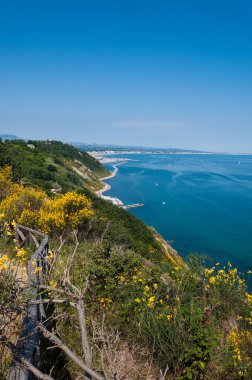 San Bartolo bölge parkı Marche bölgesi - süpürge ağaçları ve şeffaf yeşil deniz suyu
